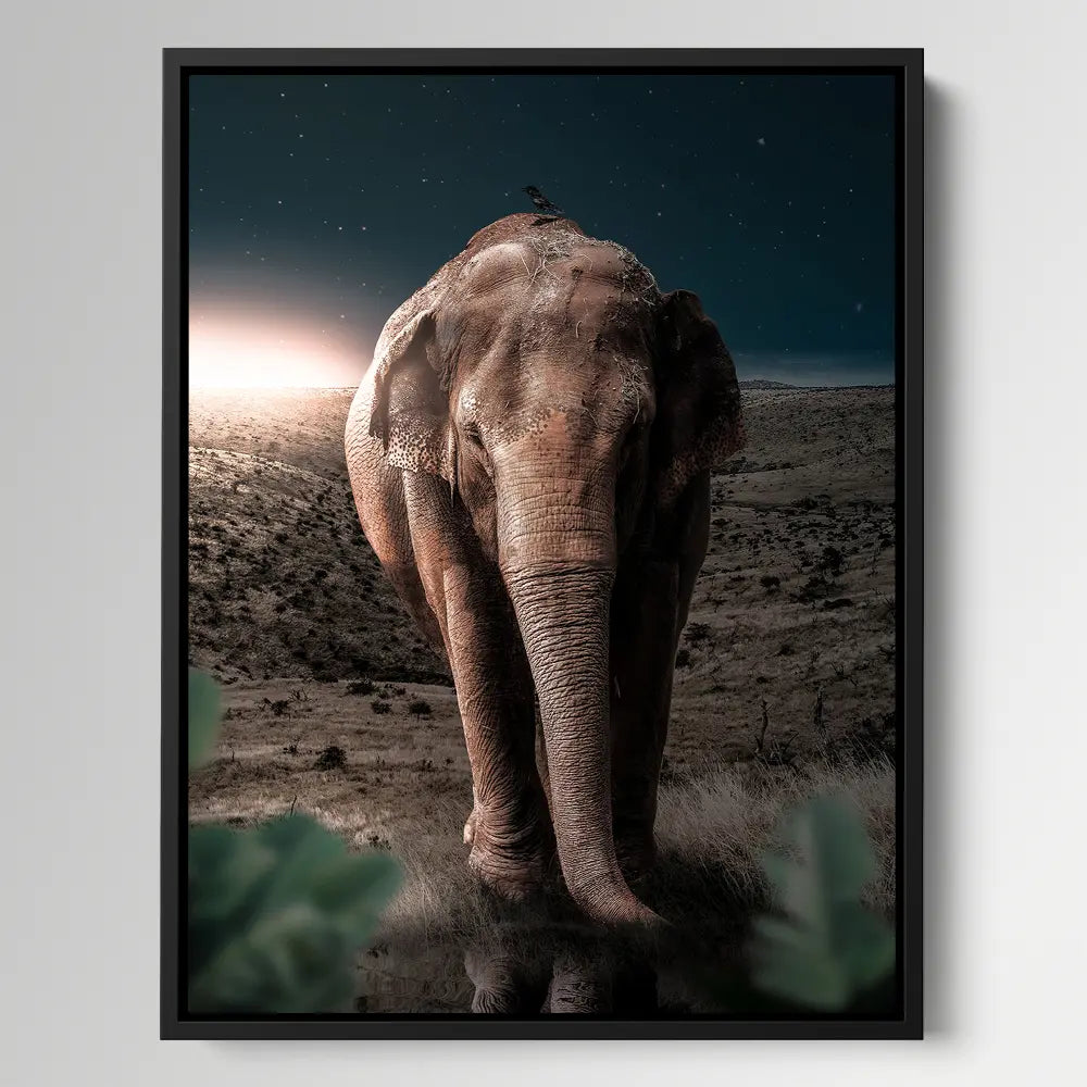 Midnight Elephant