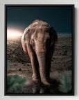 Midnight Elephant