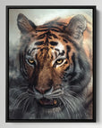 Misty Tiger