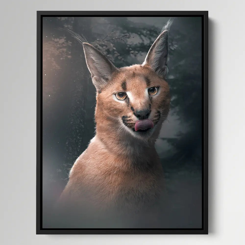 Moody Caracal