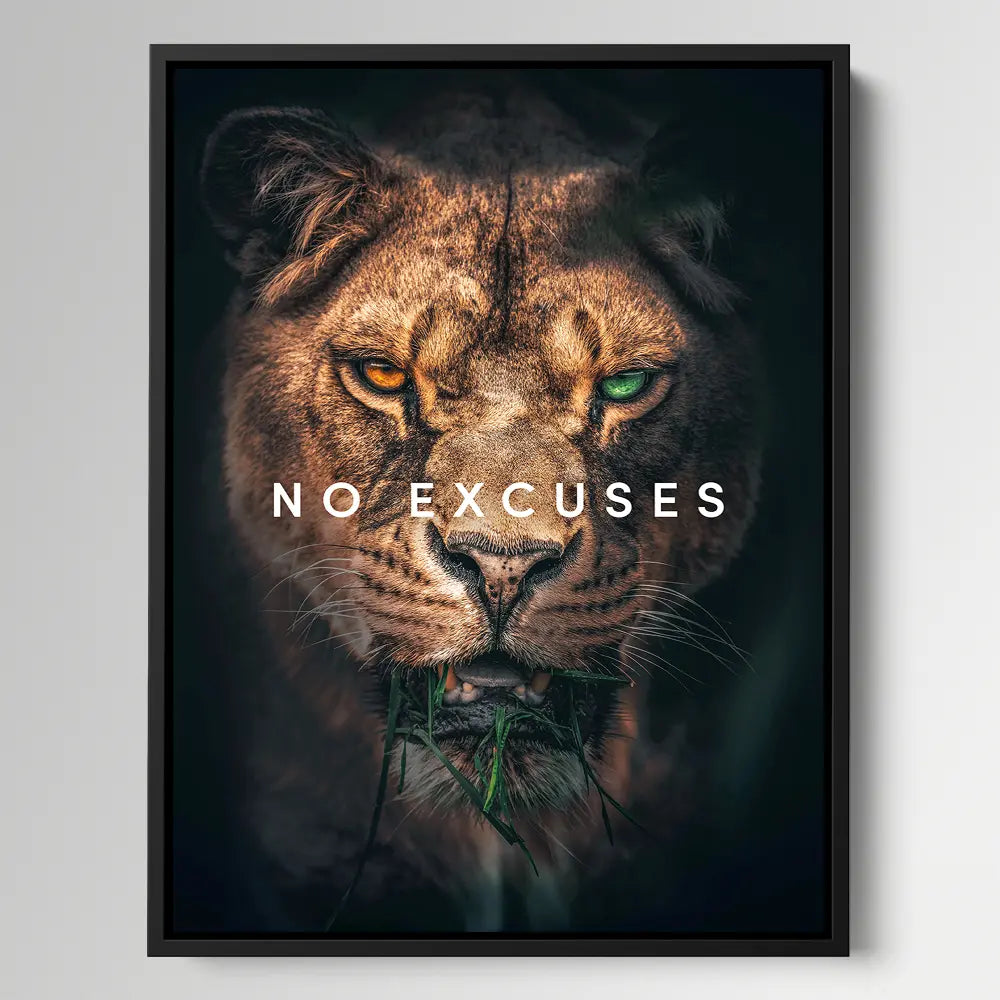No Excuses