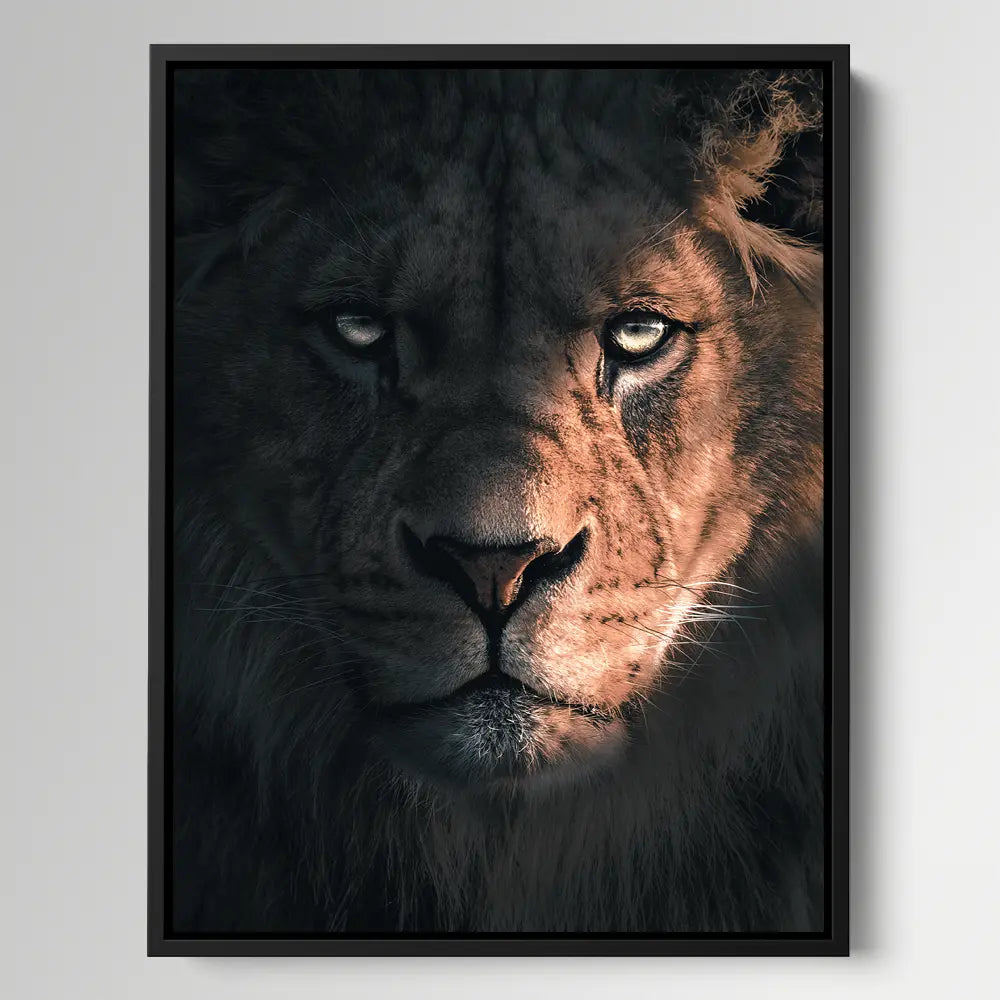Shadow Lion