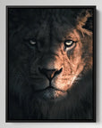 Shadow Lion