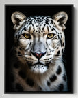 Snow Leopard Black Portrait