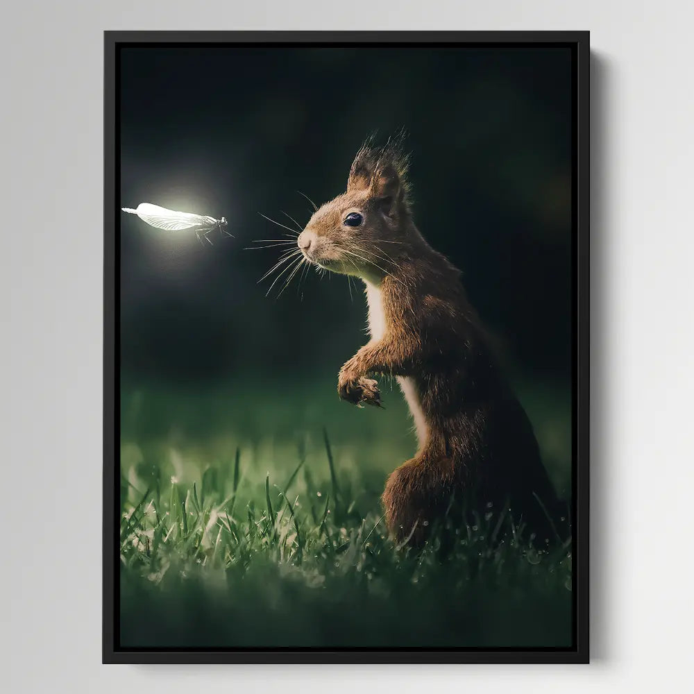 Squirrel Dragonfly