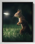 Squirrel Dragonfly