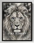 Stay Hungry Lion