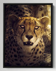 Sunset Cheetah