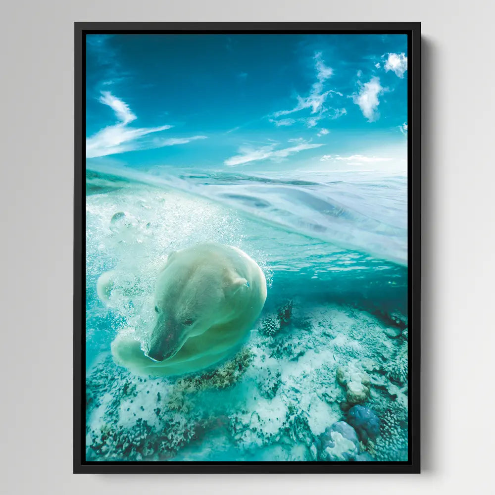 Swimming Polar Bear