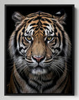 Tiger Front View