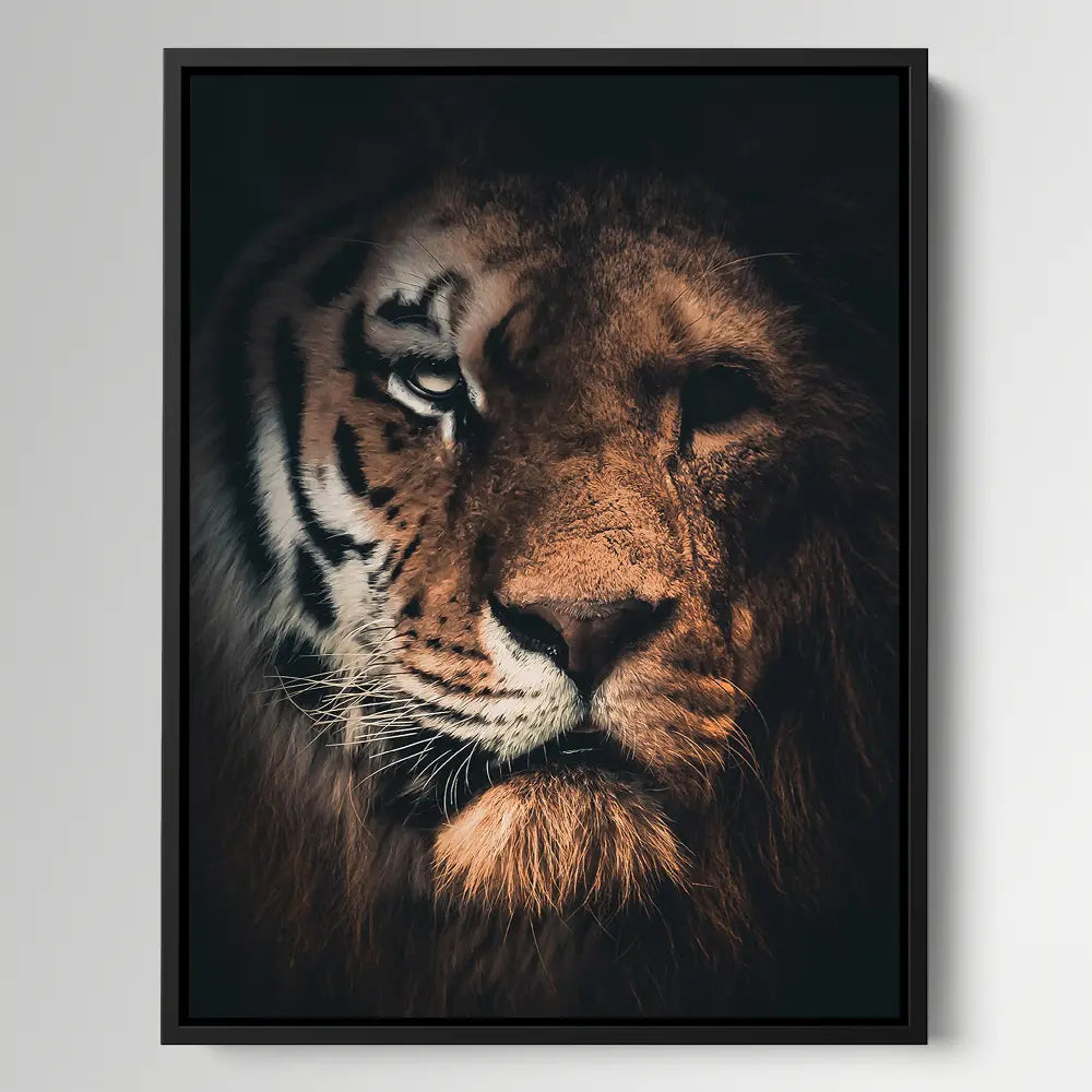 Tiger Lion