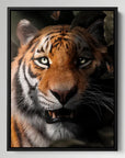 Tiger Portrait
