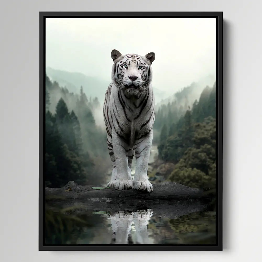 Tiger White Reflection