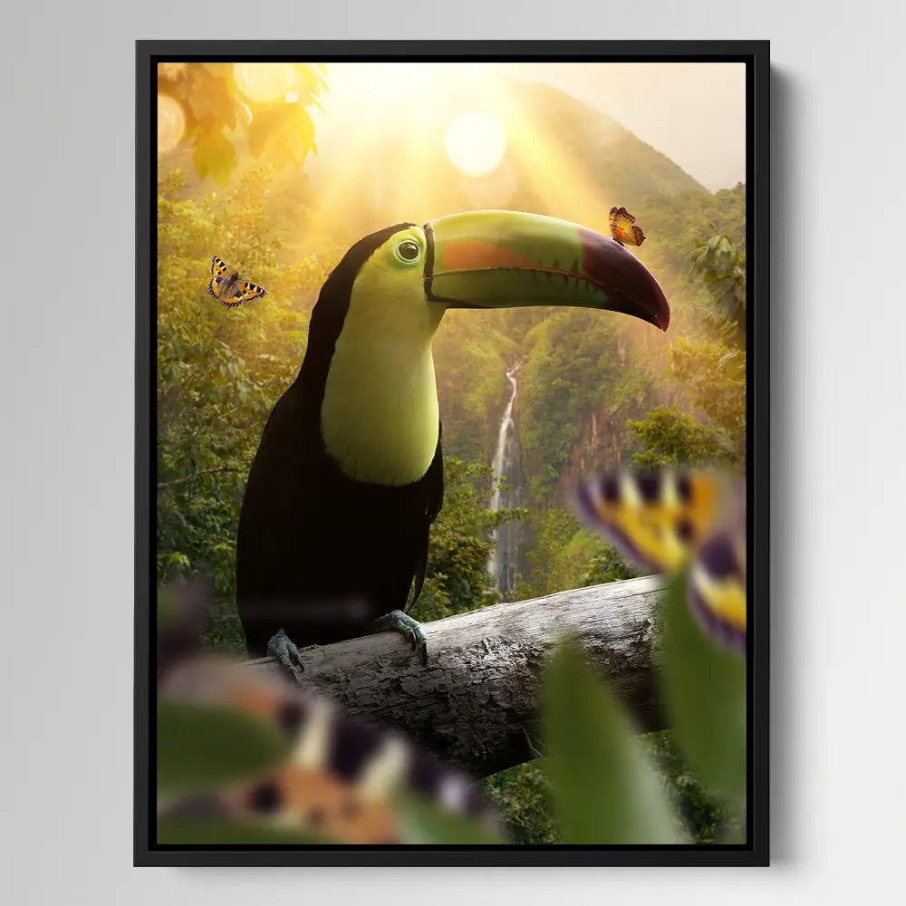 Toucan Butterflies