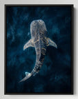 Whale Glowing Water