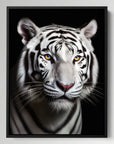 White Tiger Black Portrait