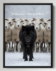 Wolves Lead Sheep Follow