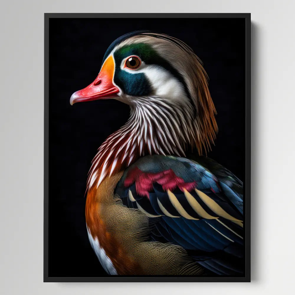 Wood Duck Black Portrait