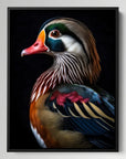 Wood Duck Black Portrait