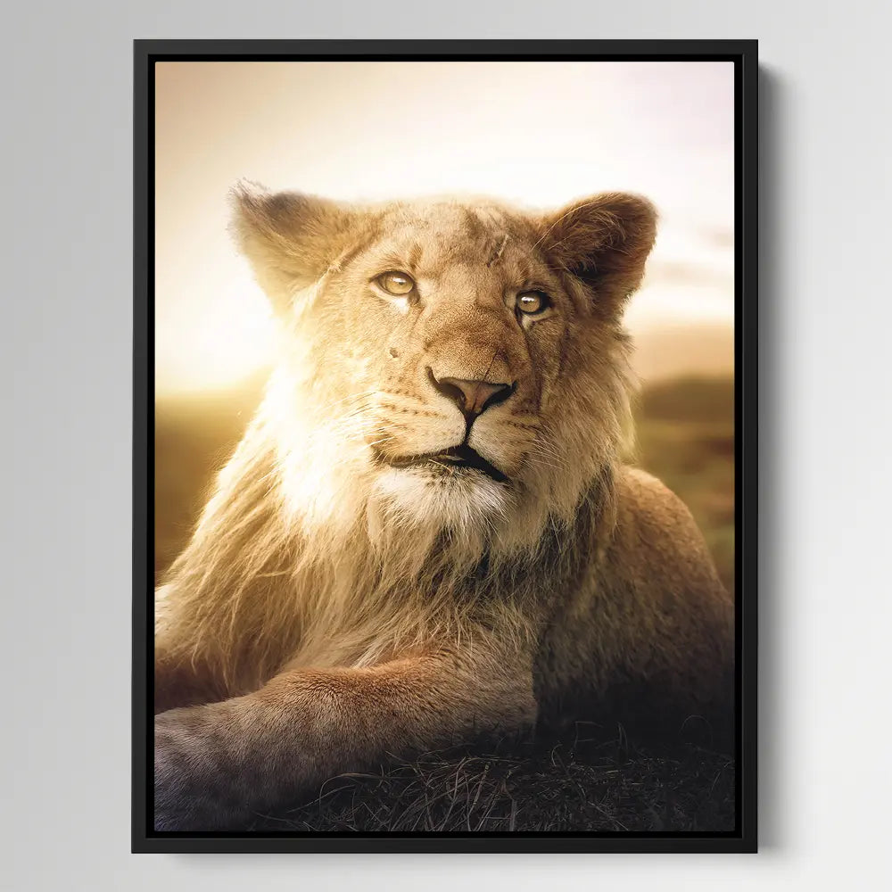Young Lion