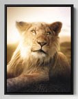 Young Lion