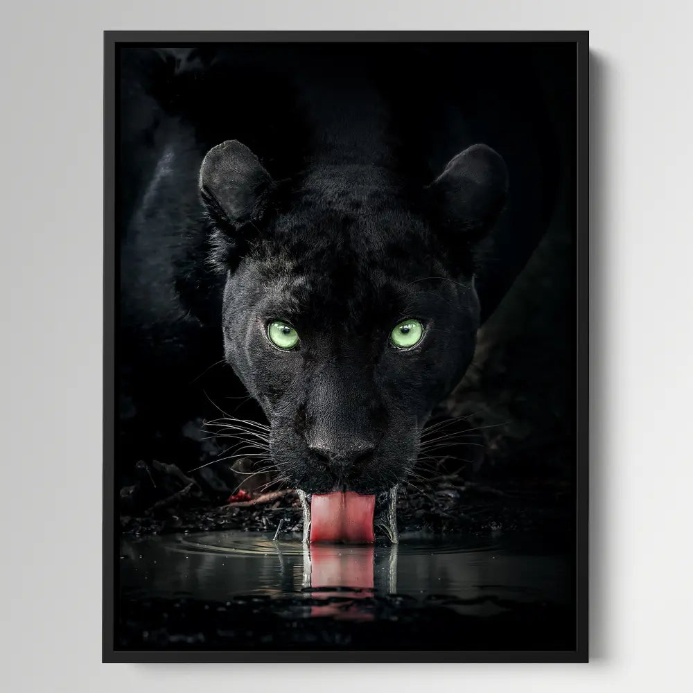 Black Panther Drinking