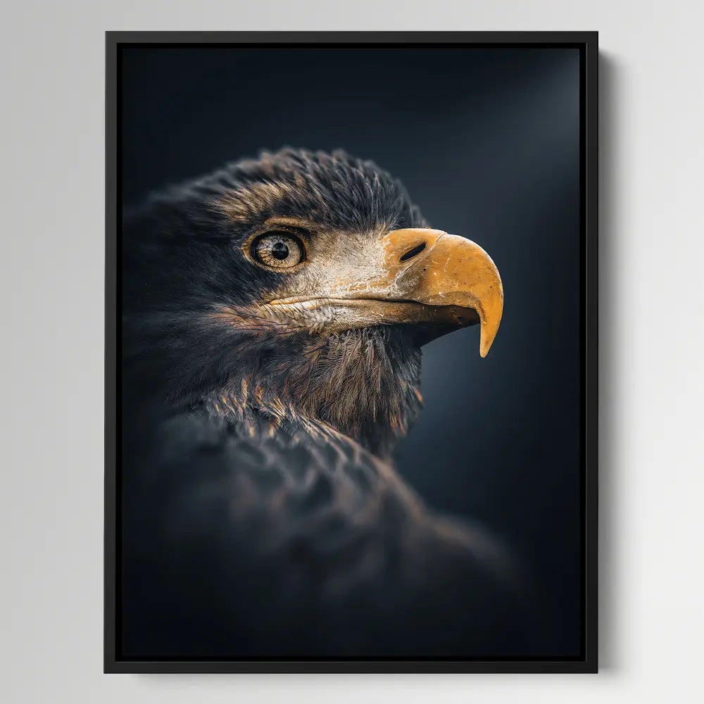 Eagle Night Sight