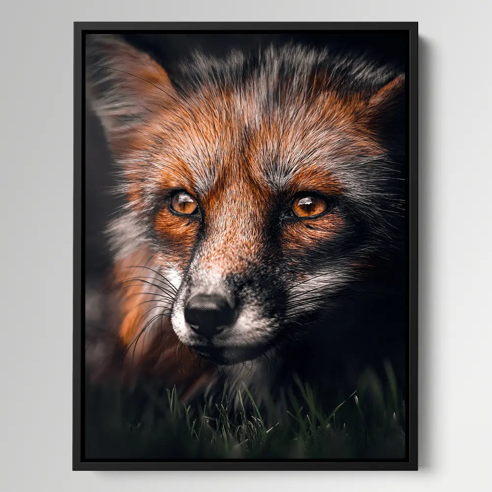Fox In The Dark