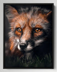 Fox In The Dark