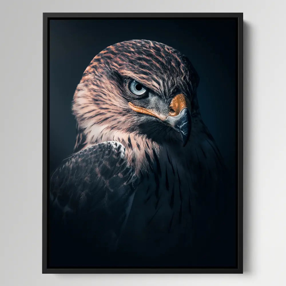 Hawk Vision