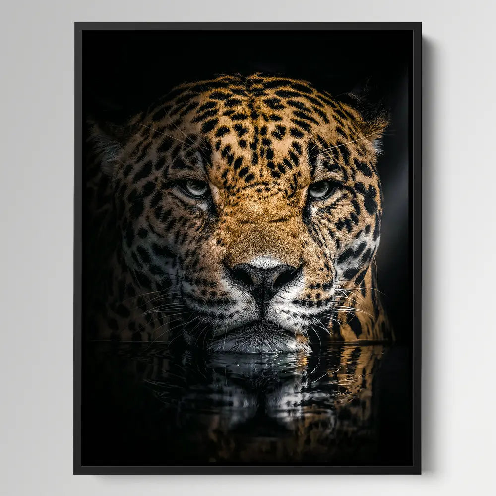Jaguar Reflection