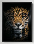 Jaguar Reflection