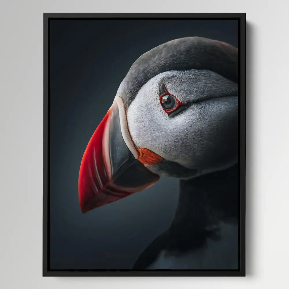 Moody Atlantic Puffin