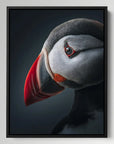 Moody Atlantic Puffin