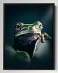 Moody Frog