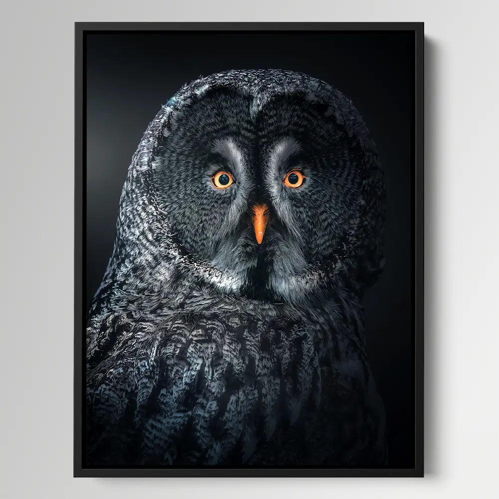 Owl At Night