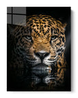 Jaguar Reflection