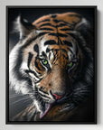 Tiger Green Vision