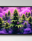 Purple Smoke