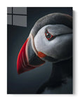Moody Atlantic Puffin