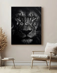 Lion Focus