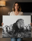 Lion Sheeps